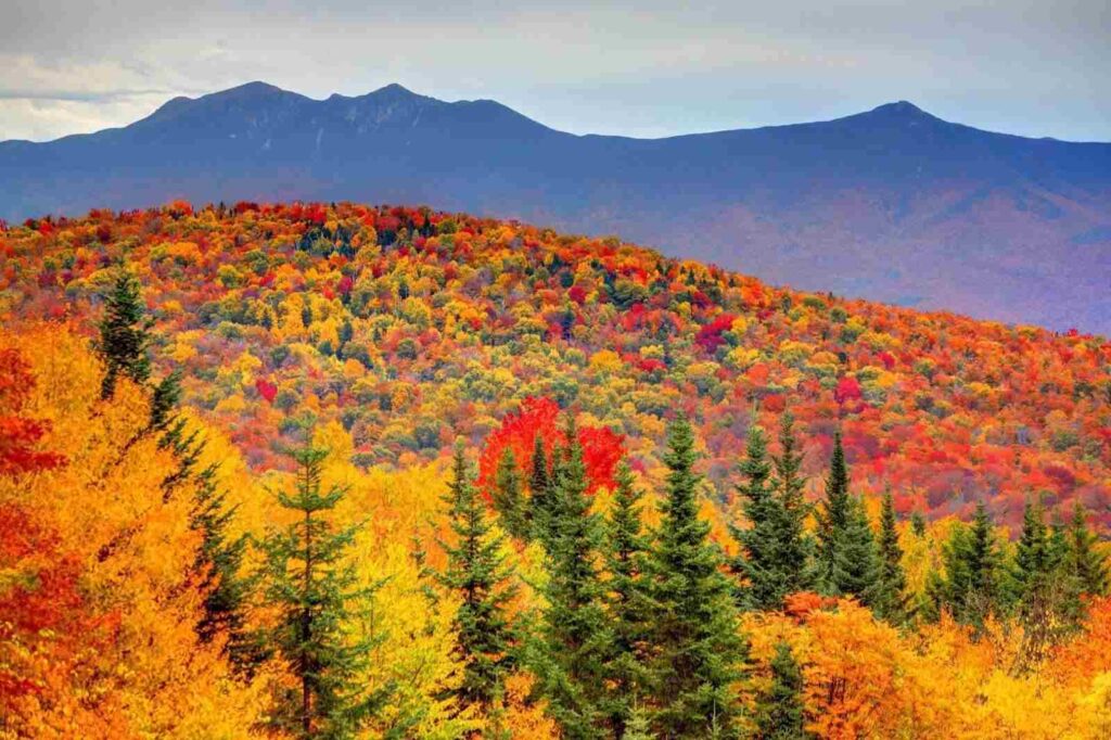 barevná podzimní příroda Nové Anglie